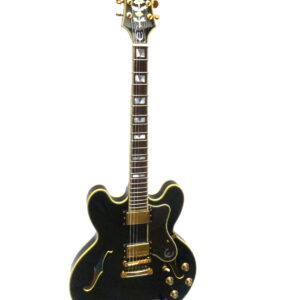 EPIPHONE Sheraton II Pro