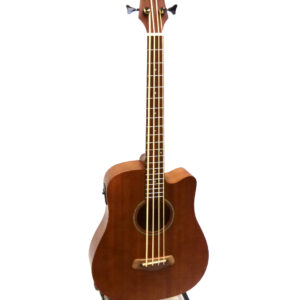 GOLD TONE Micro Bass 25