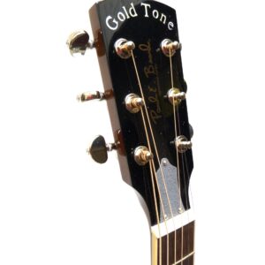 GOLD TONE GRS Paul Beard Signature