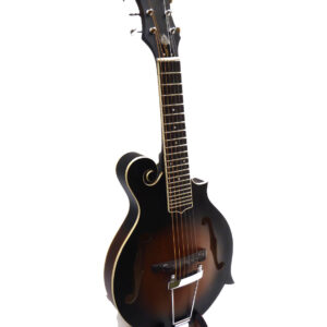 GOLD TONE F6 Mando-Guitar