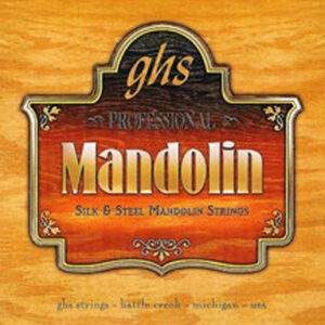 LS250Regular Silk & Steel, für natürlichen, holzig-warmen Klang Stärken: .011 .016 .026w .040w (2x)