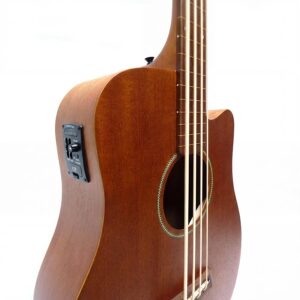 GOLD TONE Micro Bass 25 FL