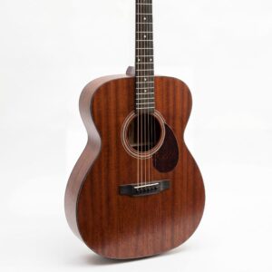 EASTMAN E-2 OM