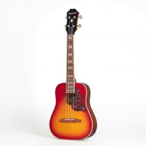 EPIPHONE Hummingbird