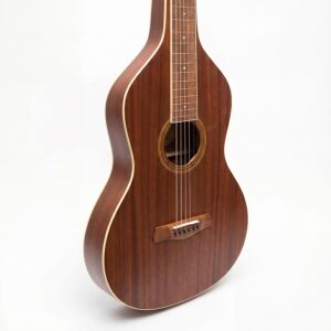 GOLD TONE Weissenborn WB