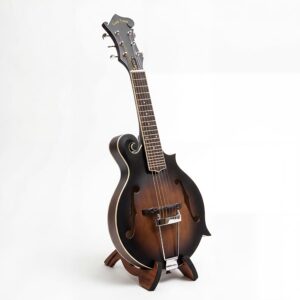 GOLD TONE F6 Mando-Guitar