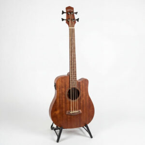 Akustik Bass