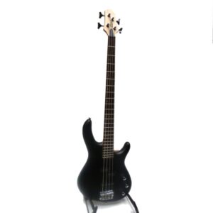 Bass