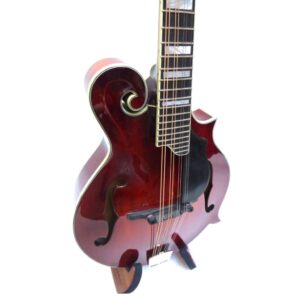 Mandolinen und verwandte Instrumente